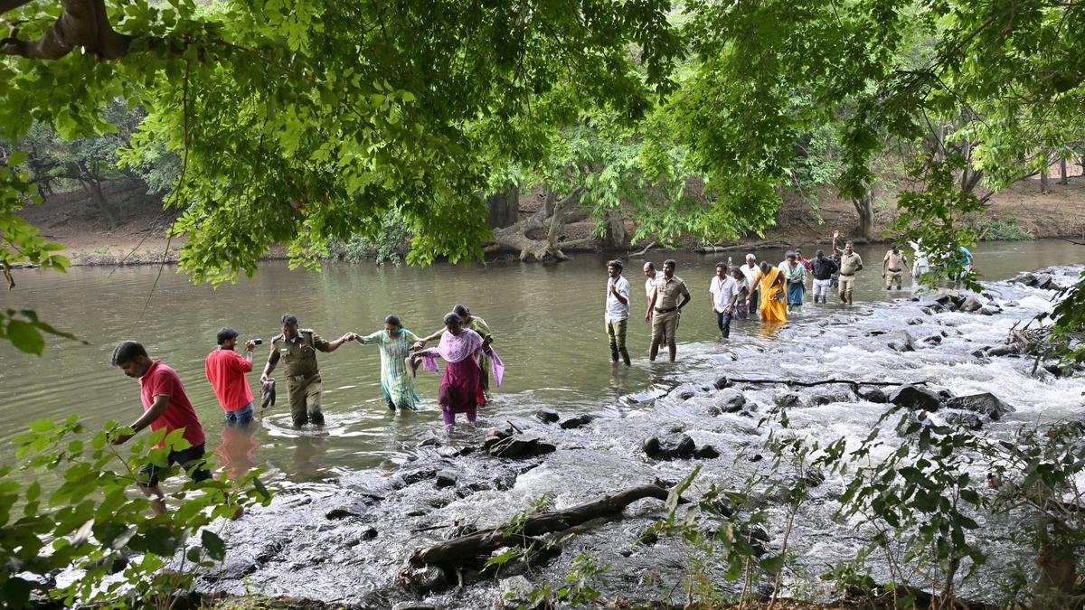 Lok Sabha polls | Polling machinery reaches remote villages in the Nilgiris