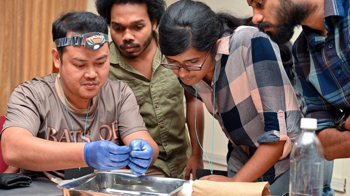 Kerala researchers batting for better understanding of the flying mammal