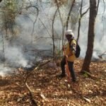 Fighting forest fires with a plan and community cooperation