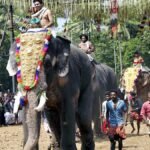 Kerala’s Thrissur Pooram: No need for fitness test for elephants by Forest department team, says Minister K. Rajan