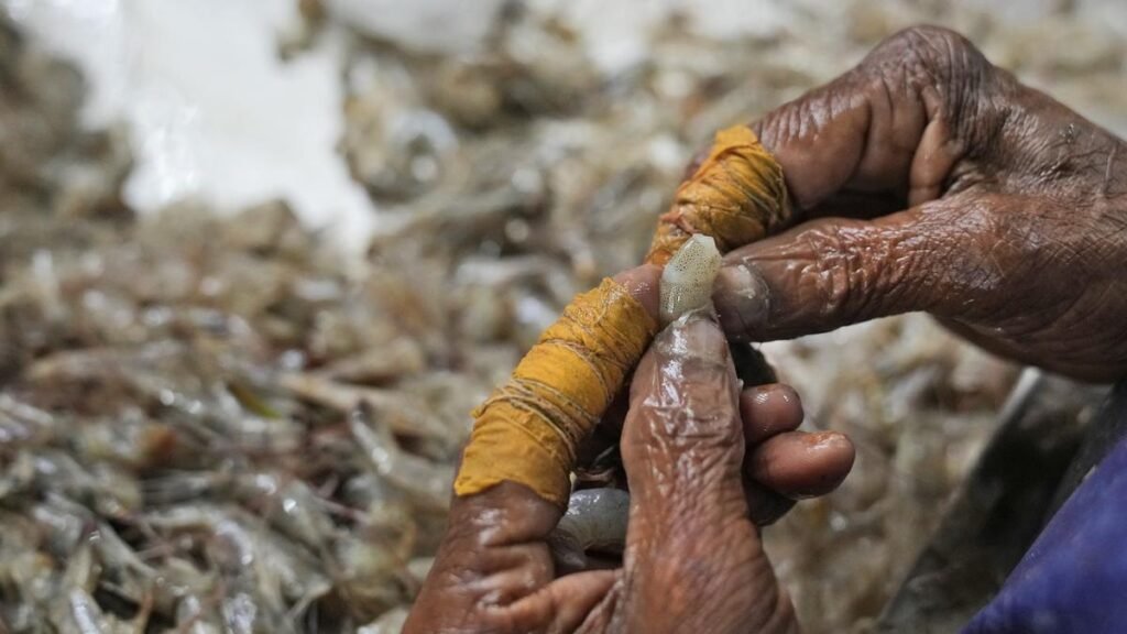 India dismisses allegations of abusive conditions at shrimp farms