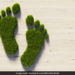 Earth Day 2024: Importance Of Reducing Carbon Footprint