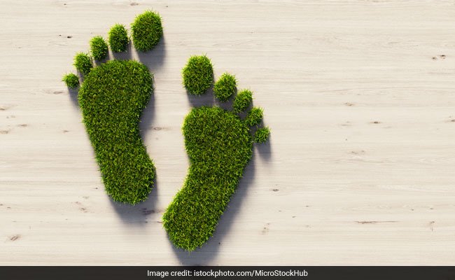 Earth Day 2024: Importance Of Reducing Carbon Footprint