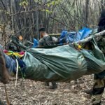 Silence In Air, Bullet Marks On Trees At Chhatisgarh Maoist Encounter Site