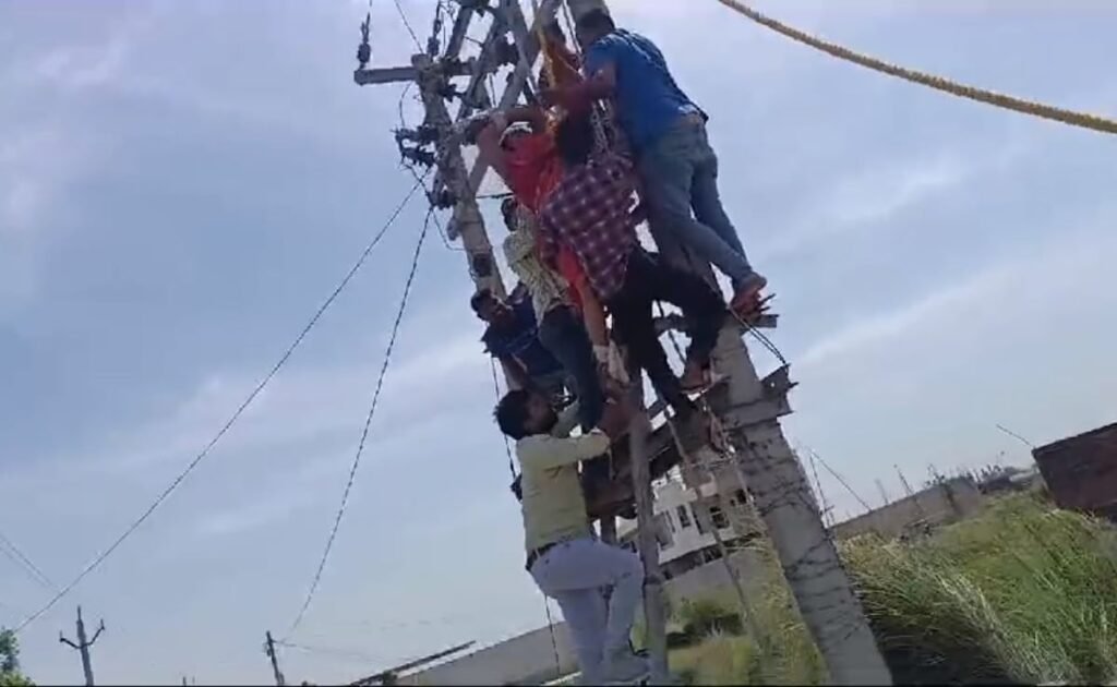 Video: Woman Wants To Live Together With Husband, Lover. Climbs Pole In Protest