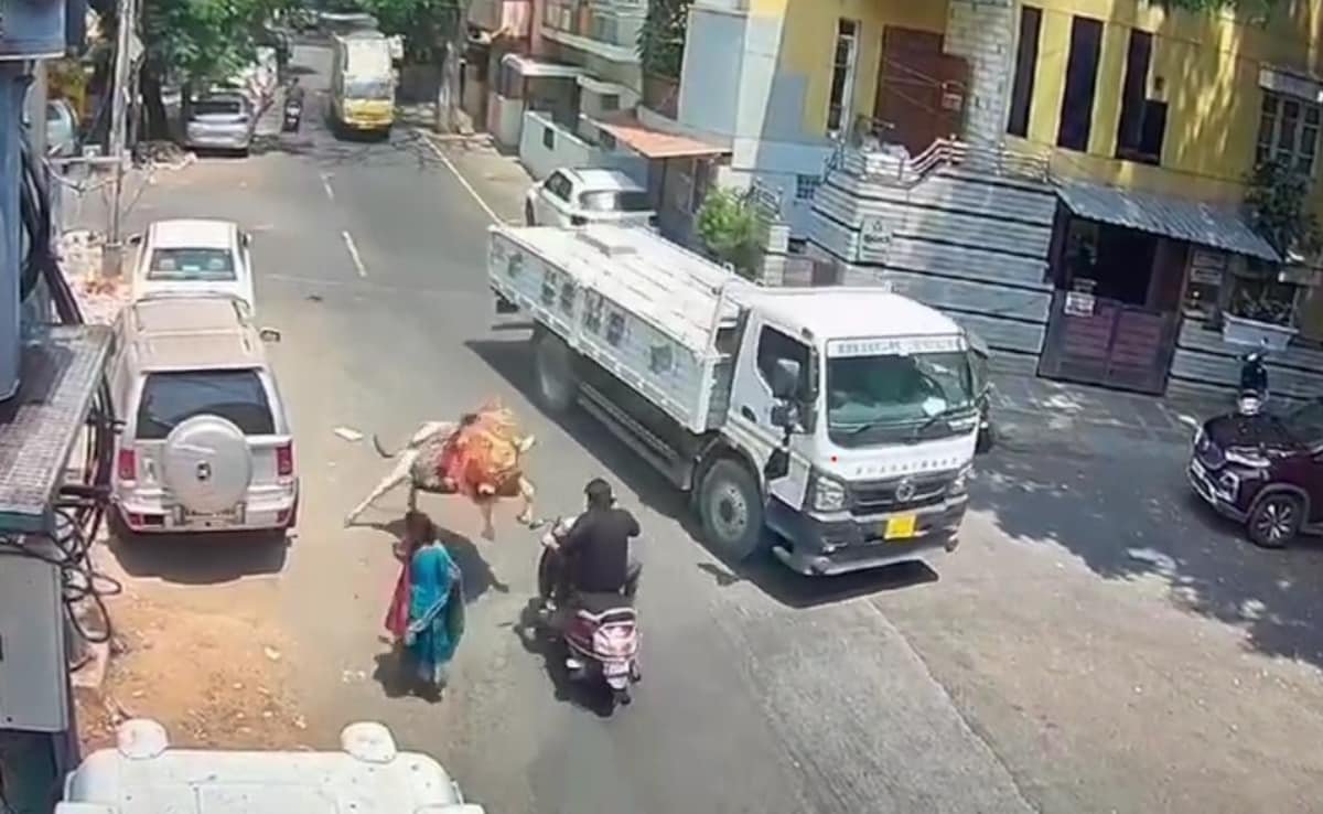 Video: Bull Pounces On Scooter In Bengaluru, Trucker’s Quick Thinking Saves Rider