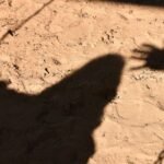 Girl, 6, Raped By 11-Year-Old Boy In Agra: Police