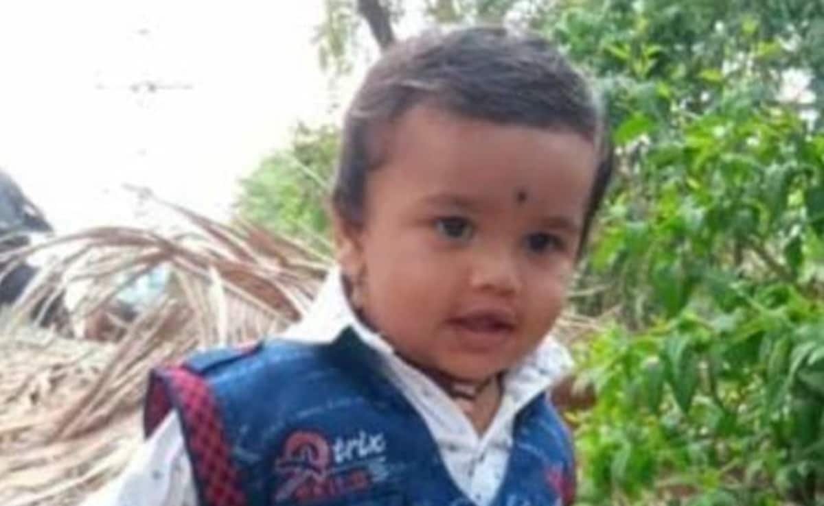 Boy, 2, Trapped 16 Feet Deep In Karnataka Borewell, Rescue Underway: Cops