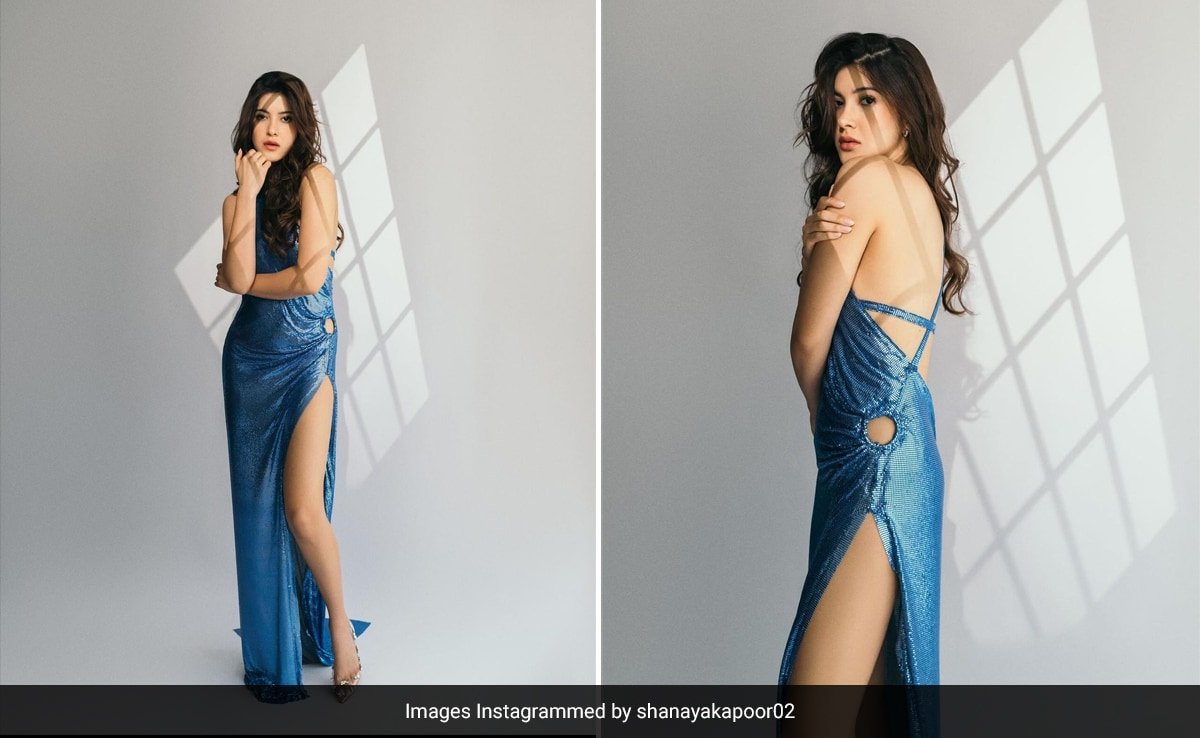 Shanaya Kapoor’s Backless Metal Mesh Dress Has Definitely Got The Summer Style Memo