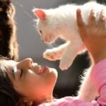 The price of pet care in Hyderabad