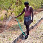 Agriculture Budget: T.N. Agroforestry Policy to encourage growing of commercially valuable trees