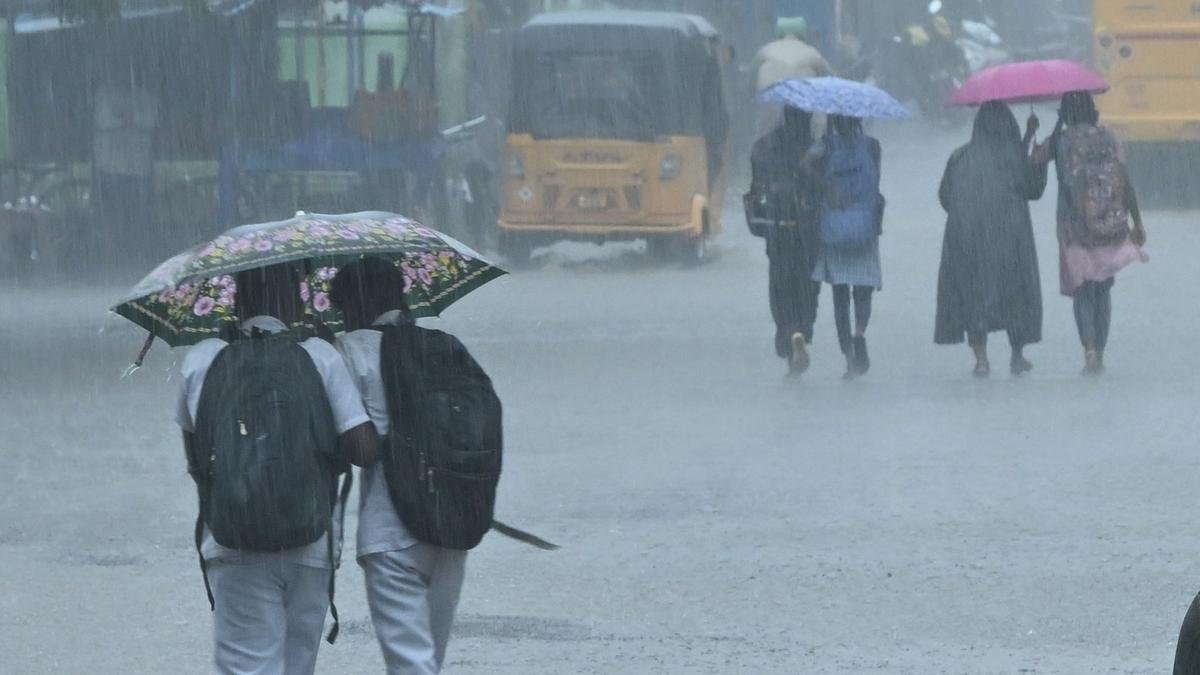 Parts of Tamil Nadu witness another day of scattered rainfall; dry weather to return on March 13