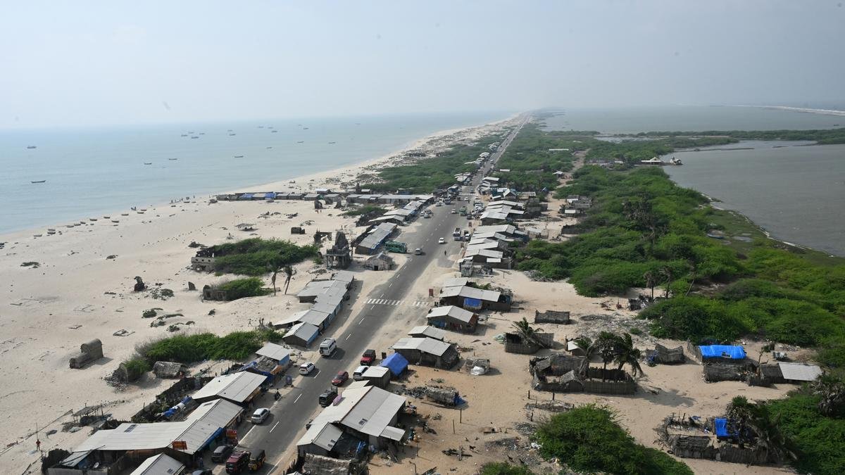 T.N. Budget 2025: Govt. to declare Dhanushkodi as Greater Flamingo Sanctuary, set up ₹50-crore foundation for marine conservation