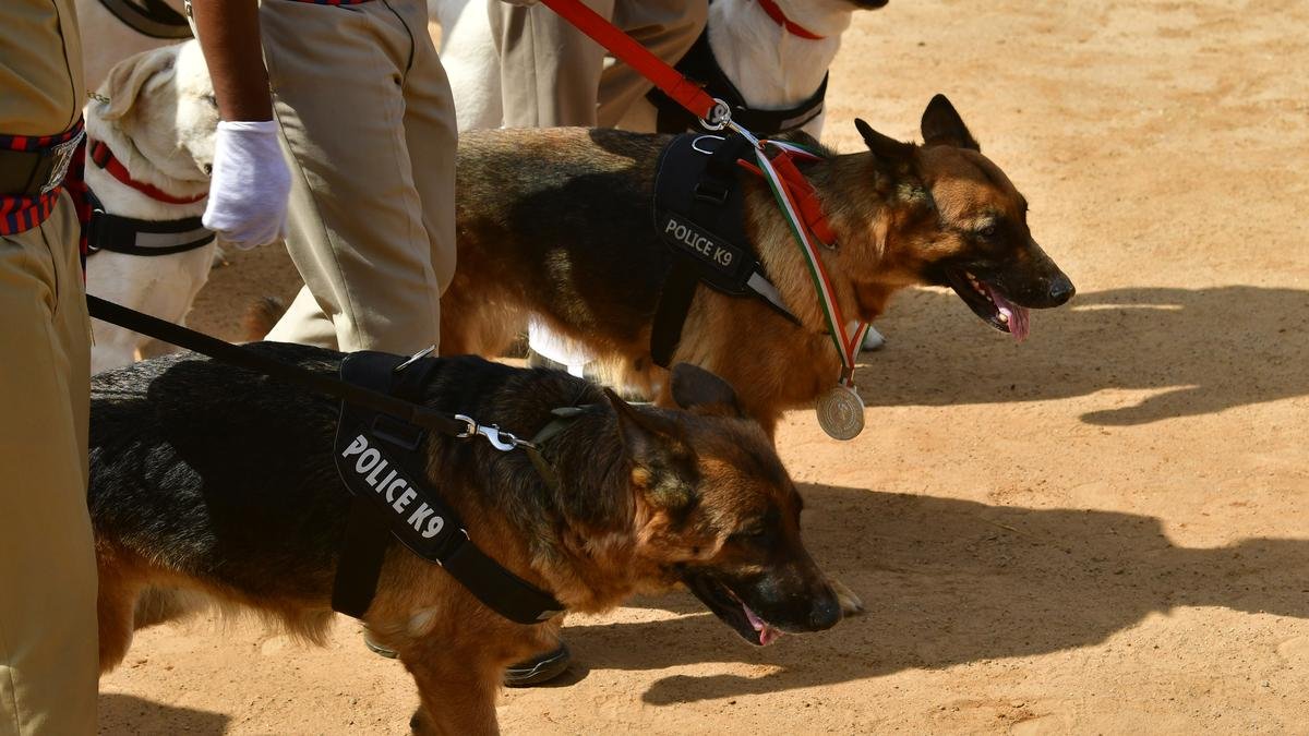 Dog squad to be raised to tackle drug menace in Karnataka prisons