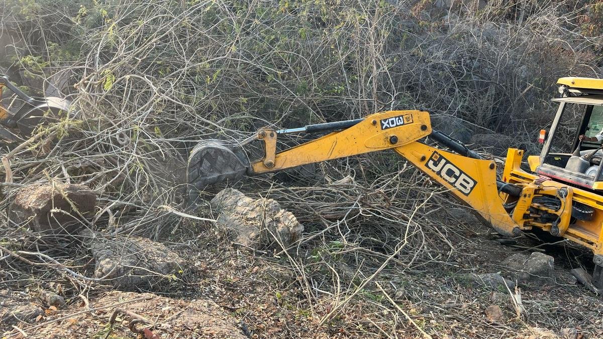 Large swathes of greenery erased in Hyderabad’s Kancha Gachibowli auction site