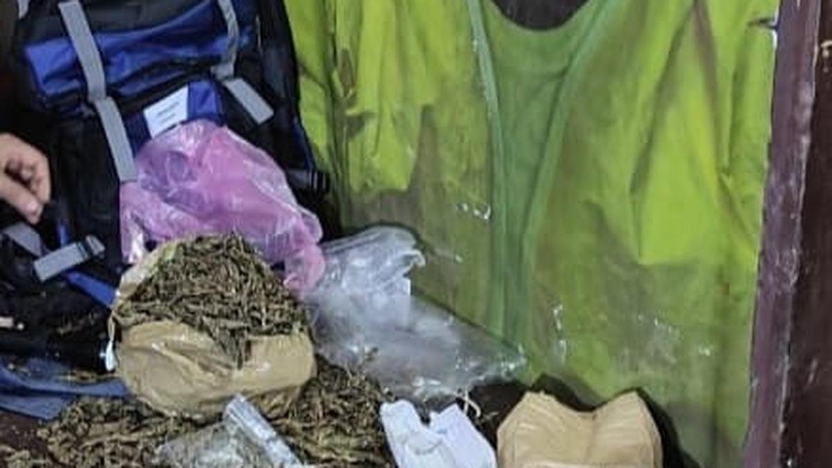 Police seize 2 kg ganja, arrest three students in overnight raid on polytechnic hostel in Kochi